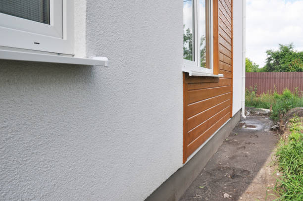 Best Composite Siding  in Dakota City, NE