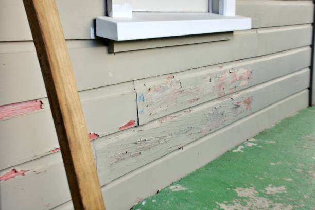 Affordable siding repair and maintenance services in Dakota City, NE